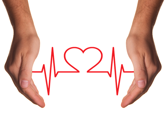 heart-care-g251ecce6f_640 heart-care-g251ecce6f_640